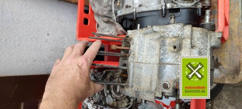 IMG_20230829_111843